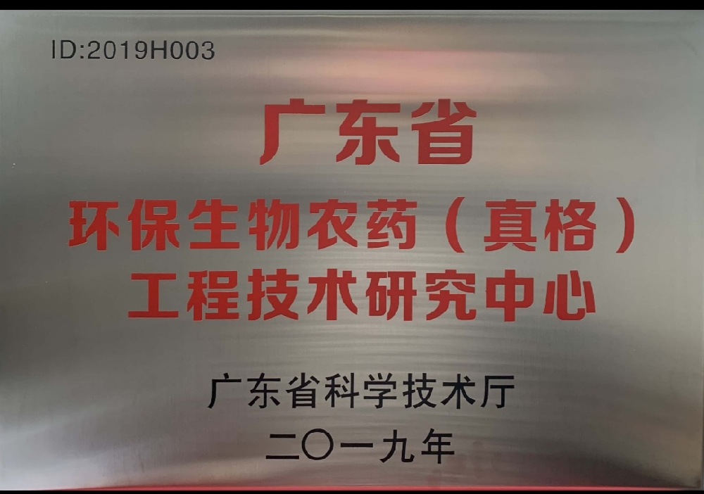 金榜提名，載譽歸來