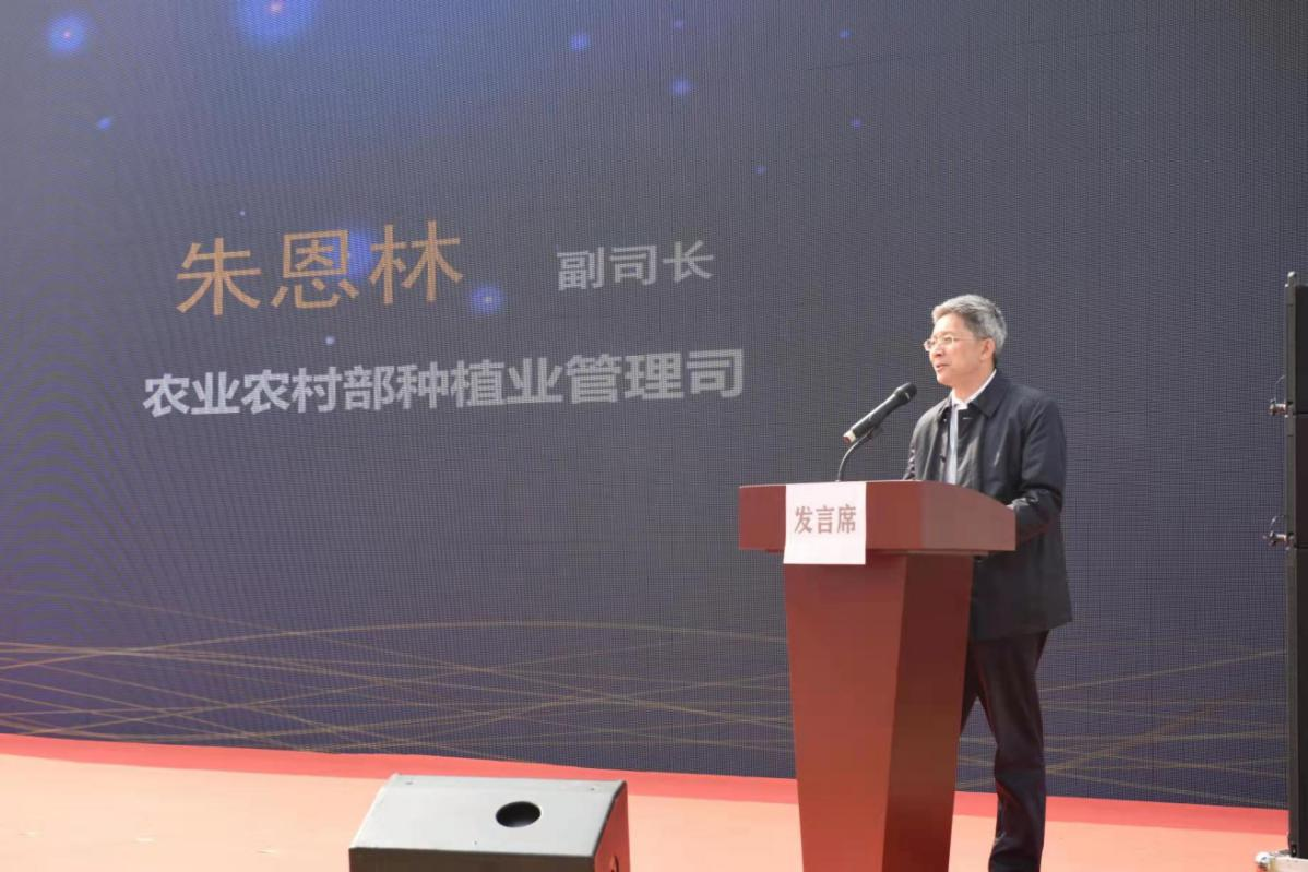 1654744902987169.png 圖片 4.png