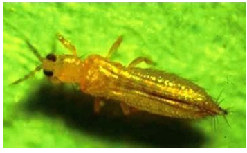 1654828625118089.png 圖片 1.png