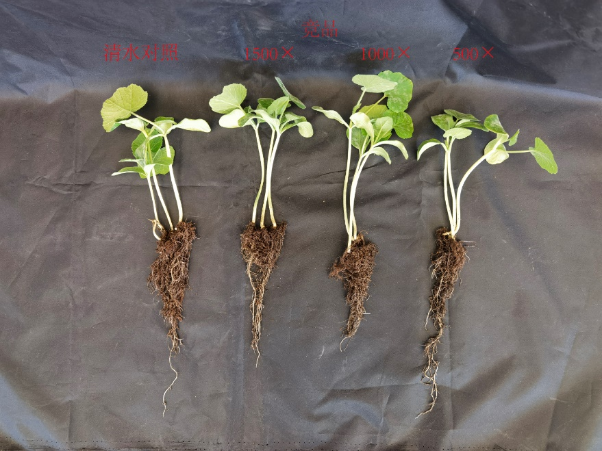 1654830366201406.png 圖片 3.png